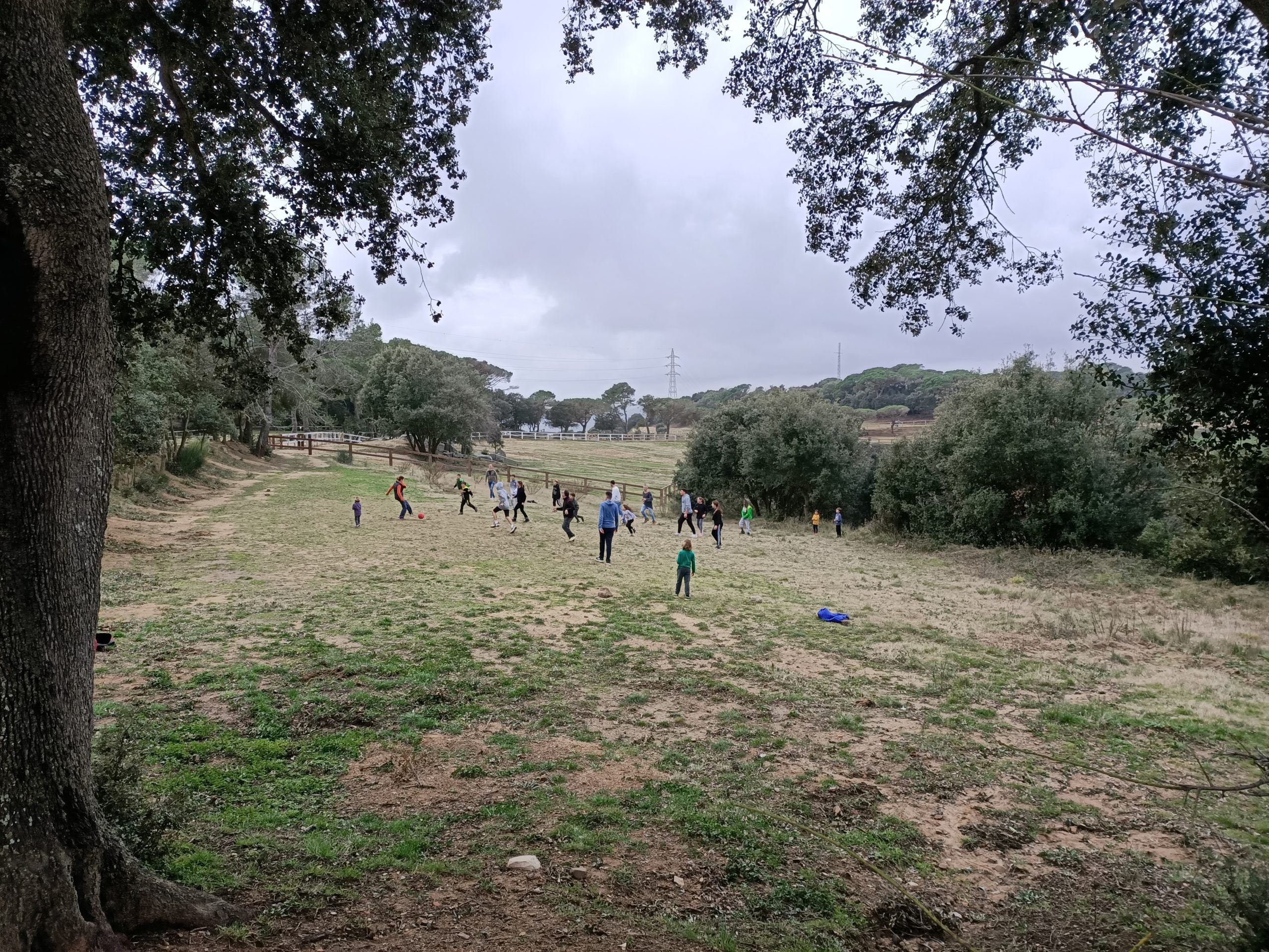 Actividades vida significativa