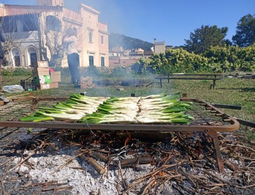 Calçotada solidaria con niñas, niños y adolescentes de la Casa Residencial de Teià