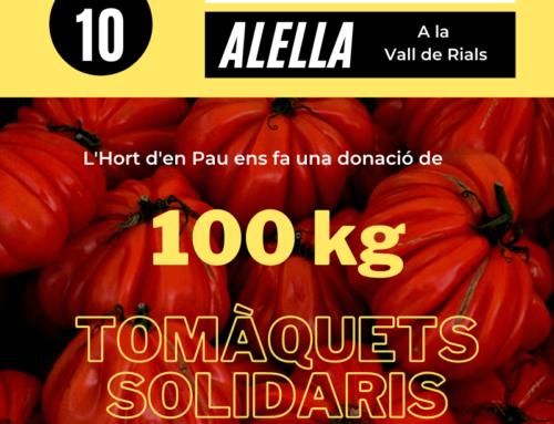 Donación de 300 kg de tomates en Vilassar de Mar