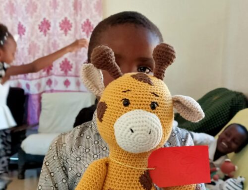 Más de 150 amigurumis para Tanzania